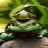icon Green Frog Live Wallpaper(Sapo Verde Papel De Parede Animado) 2