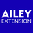icon AILEY(AILEY Extension) 5.3.6