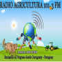 icon Radio Agricultura Fm(Rádio Agricultura Curuguaty -)