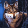 icon Wolf Jigsaw Puzzles (Lobo Quebra-cabeças)