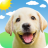 icon Weather Puppy(Weather Puppy - App Widget) 5.8.8