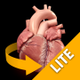 icon Heart 3D Anatomy Lite (Coração 3D Anatomy Lite)