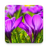 icon Beautiful Spring Flowers Live Wallpaper(Lindas flores da primavera ao vivo) 1.0.8