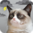 icon Grumpy Weather(Tempo mal-humorado do gato) 5.8.8