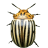 icon Crash Beetle(Crash of Beetle) 1.6.6