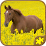 icon Horse Puzzles Free(Horse Jigsaw Puzzles HD)