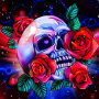 icon Skull Coloring Book(Skull Coloring Book Game)