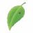 icon Everlasting Summer(Verão eterno) 1.7