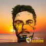 icon Photo Illusion Diffusion AI