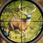 icon Jungle Hunting(Wild Animal Jogos de caça Gun
)