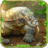 icon Komodo Dragon Simulator(Komodo Dragon : Dragon Games) 1.0