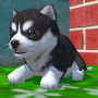 icon Cute Pocket Puppy 3D(Filhote de cachorro de bolso bonito 3d)