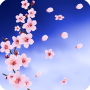 icon Magic Alchemist Springtime (Primavera do Alquimista Mágico)