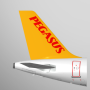 icon Pegasus: Cheap Flight Tickets (Pegasus: passagens aéreas baratas)