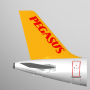 icon Pegasus(Pegasus: passagens aéreas baratas)