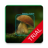 icon com.gabotechindustries.mushroomIdentifier(Mushroom Identifier - detecção e classificação
) 1.15