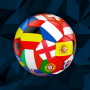 icon International Football Simulator(Futebol Internacional Sim)