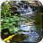 icon Pond with Koi Video Wallpaper(Lagoa com Koi Live Wallpaper) 2.0