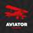 icon Aviator(Авиатор - Jogo de aviador
) 6
