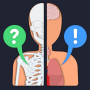 icon Anato Trivia(Anato Trivia - Quiz Anatomy)