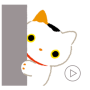 icon Animated Cats Stickers(Gif
)