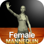 icon Female Mannequin(Manequim feminino
)