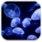 icon Jellyfish Live Wallpaper(Jellyfish Papel De Parede Animado) 1.0.7