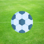 icon Soccer Puzzles(Soccer Puzzles: Football Games)