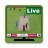 icon Cricket Live Tv(Críquete) 4.1.0