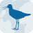 icon Wadvogels(Aves vadeando) 2.0