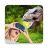 icon 1.0.7