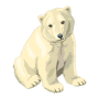 icon Zoo Match'em (Zoo Matchem)