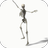 icon Dancing Skeleton Video LWP(Temas de vídeo de esqueleto de dança Wikids) 4.0