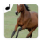 icon Horse sounds(Cavalos Sounds for Cell Phone grátis.
) 1.14