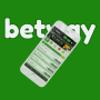 icon NENE Sports News 2021(Sports / Games Now para Betway App
)