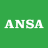 icon ANSA 1.0.16