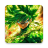 icon Top Anime Wallpaper(de parede de anime 4k) 5.3.0