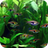 icon Aquarium 3D(Aquarium 3D Live Wallpapers) 6.0