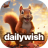 icon 2.4.3
