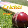 icon net.appozuri.crickvideoplayer(Crick Player - Assistir Cricket HD Videos
)