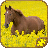 icon Horse Puzzles Free(Horse Jigsaw Puzzles HD) 2.14