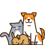 icon 반동라-반려동물,고양이,강아지,유기견후원 ()
