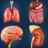 icon Organs Anatomy(Anatomia dos meus órgãos) 2.1