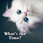 icon jp.co.a_tm.android.plus_whats_the_time(Tema fofo Que horas são?)