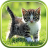 icon com.livewallpapers3d.cats(Gato papel de parede ao vivo) 1.0.5