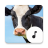 icon Cow Sounds(Sons de vaca) 4.9.2