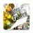 icon de.dvr.pruefungsquiz(Exame questionário junges-condução) 1.28.1