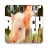 icon Ranch Simulator Free Advices(Ranch Simulator Conselhos grátis
) 1.0