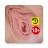 icon Hymen Anatomy(Hímen
) 1.2