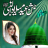 icon 12 Rabi Ul Awal Photo Frames(12 Rabi ul Awal Eid Milad Un N
) 3.1